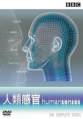 人类感官
