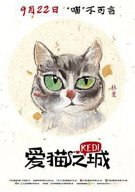 爱猫之城