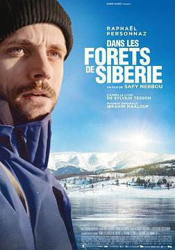 在西伯利亚森林中