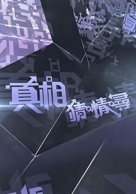 真相猜·情·寻