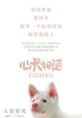 心犬相随