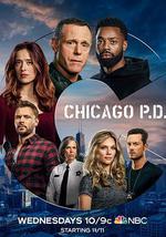 芝加哥警署 第八季